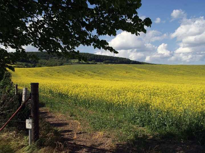 Cómo hacer la transición hacia una "agricultura de paisajes"