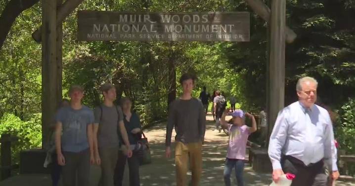 Vendors fundraise to keep Muir Woods open amid prolonged government shutdown