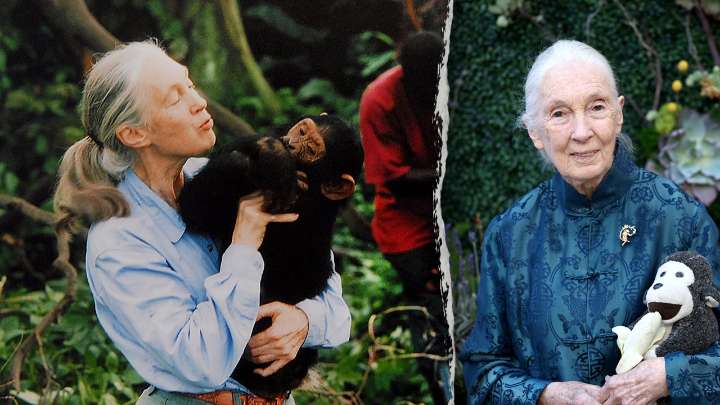 Here's how Jane Goodall's deep Christian faith sustained her until death at 91