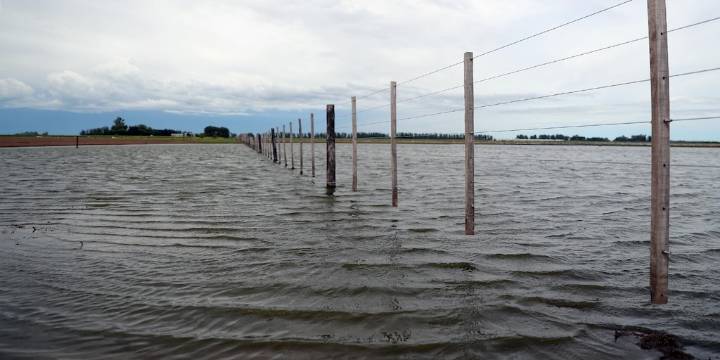 Un bloque de legisladores bonaerenses pidió declarar la emergencia agropecuaria por los campos inundados en PBA