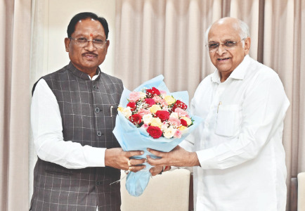 Chhattisgarh Chief Minister calls on Gujarat counterpart in Gandhinagar