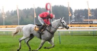Grey Dawning wins the Betfair Chase at Haydock Park