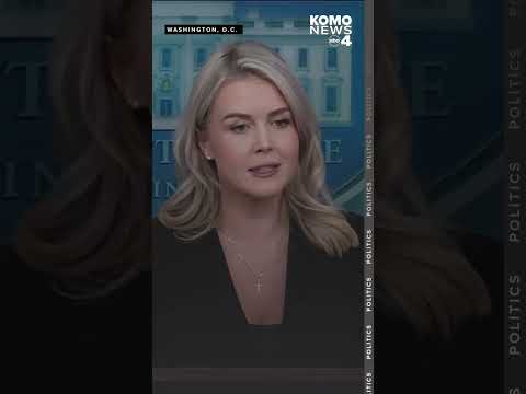 Leavitt defends Trump's 'piggy' comments: He's 'the most transparent president in history'