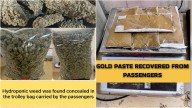 Mumbai Airport Customs Seize ₹10.54 Crore Hydroponic Weed, ₹2 Crore Gold And Foreign Currency In 6 Separate Cases