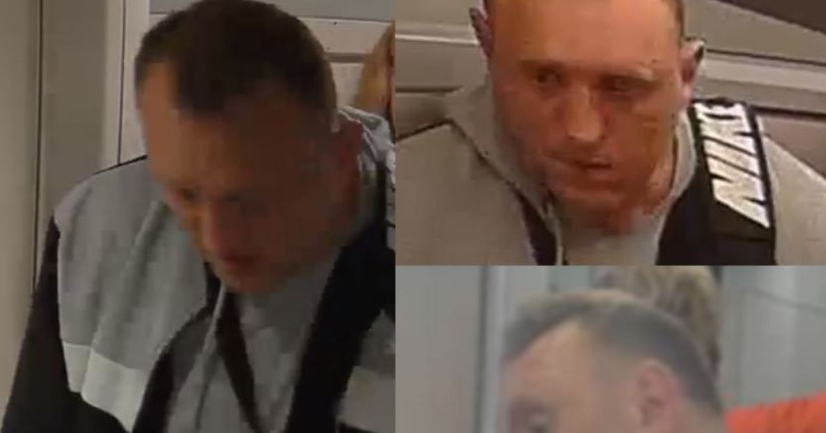 Disabled man sexually assaulted on train to London Euston