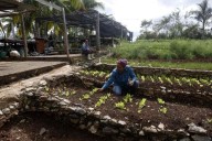 Concluye en Cuba IX Encuentro Internacional de Agroecología