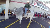 People Panic And Call Cops When Man Spotted Riding Bull In Ohio Parking Lot