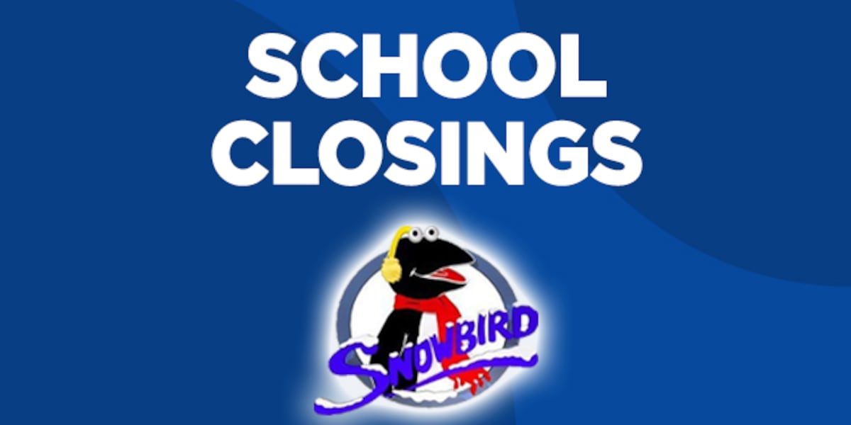 What schools will be closing, have delays due to weather?