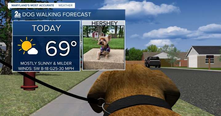 Warmer & windy on this Wednesday