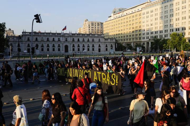Red Chilena contra la Violencia hacia las Mujeres: “No estamos seguras si los gobiernos pueden ser feministas”
