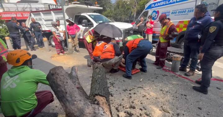 Trabajador de CDMX cae 8 metros de un árbol y tronco le fractura dos piernas en la Narvarte