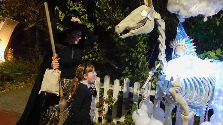 Your view: Photos from the community