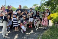 Southampton Animal Shelter Foundation Embarks on Essential Repairs and Environmental Upgrades to Better Serve East End’s Animals