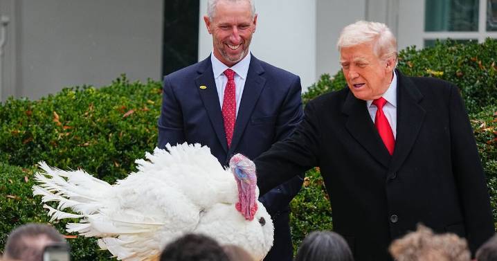 Fox News halts for breaking Trump alert after sparking health fears