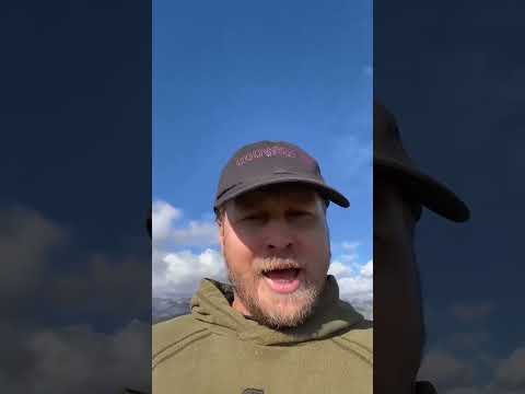 Spencer Pratt is taking direct shots at Gavin Newsom