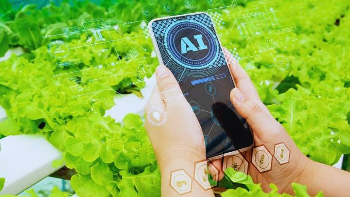 Indian IT firms have missed the bus as far as AI is concerned, says Sudeep Bandyopadhyay