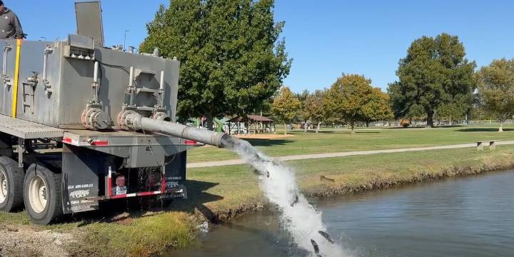 More than 2,000 trout added to lake at Sikeston Rec. Complex for annual fishing program