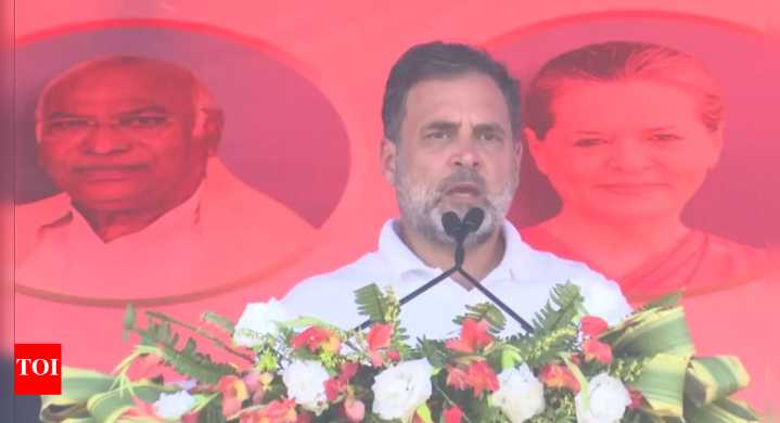 Bihar Assembly Elections Live Updates: 'Modi, Shah, EC have no reply to ‘vote chori’,' says Rahul Gandhi at rally in Bihar's Kishangan