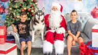 Perth’s FurBaby sees rise in Santa Paws photos as families add pets to festive portraits