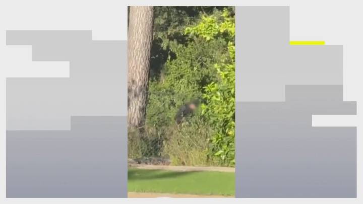 Pillan 'in fraganti' a dos hombres intentando robar en una casa en Bellaterra