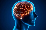 Tu cerebro sigue siendo adolescente hasta los 30 años, según investigación