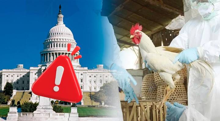 ALERTA, ciudadanos en Washington: se confirma el primer caso de GRIPE AVIAR H5N5 y autoridades investigan exposición