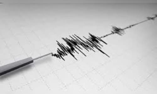 Earthquake of 5.4 magnitude recorded in Andaman Sea: Seismology centre