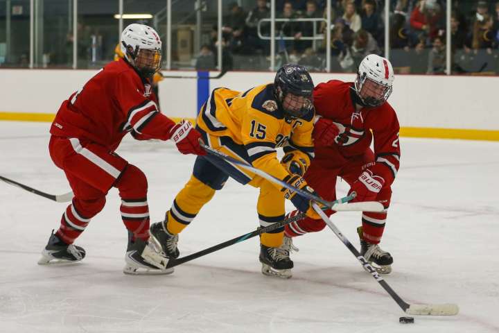North holds off Shanley in metro East Region boys hockey clash
