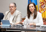 El Parlamento de Canarias tramita el miércoles la ley de ordenación de las viviendas turísticas