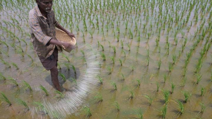 Govt crackdowns on black marketing, hoarding of fertilizers to improve supply