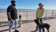 Check out Volusia County’s newest dog beach in Daytona