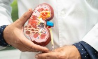 Albumin-Specific Testing Outperforms Total Protein Measurement in Detecting Kidney Disease: Study