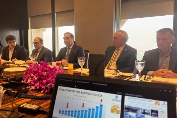 Más actividad de Valdés en Nueva Delhi: oferta comercial de búfalos correntinos