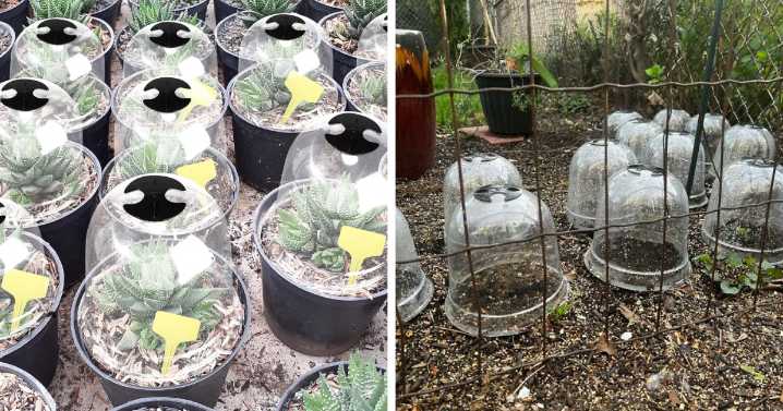 17 Genius Tips To Winterize Your Yard So It Doesn’t Look Tragic Come Spring