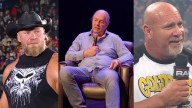 Bret Hart: Brock Lesnar Is A Professional… He’s Not Like Goldberg