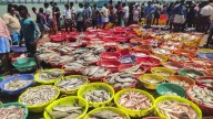 Russia to soon approve nearly  25 Indian fishery units for exports