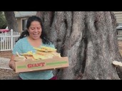 Urban forager donates to food banks amid SNAP uncertainty