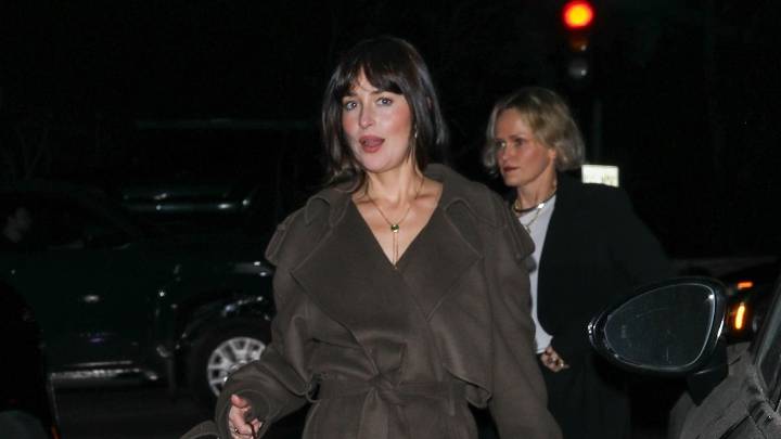 Dakota Johnson Bags a Newly Cult Accessory From the Row