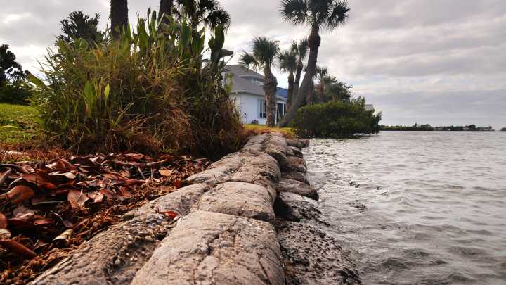 Brace for more king tides this week under brightest supermoon of year