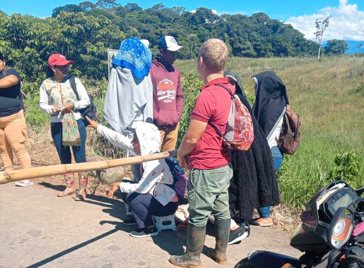 Paro en cruce entre Siberia y Líbano en Orito