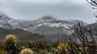 Cierre temporal del Parque Nacional Natural Los Nevados del 24 al 28 de noviembre de 2025