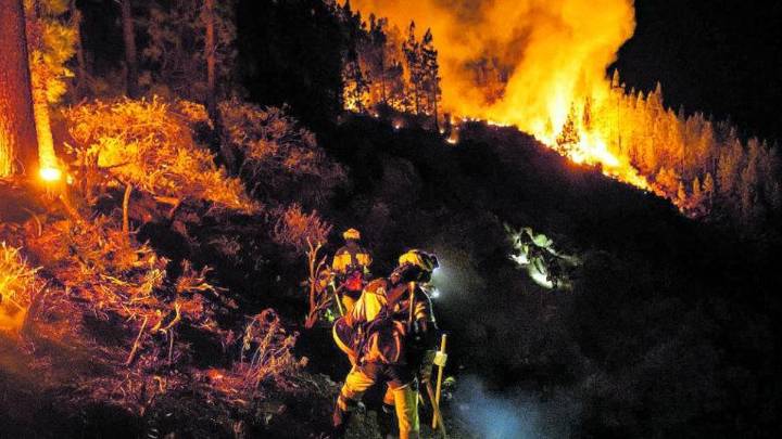 El Gobierno de Canarias declara la prealerta por riesgo de incendios forestales en cinco islas