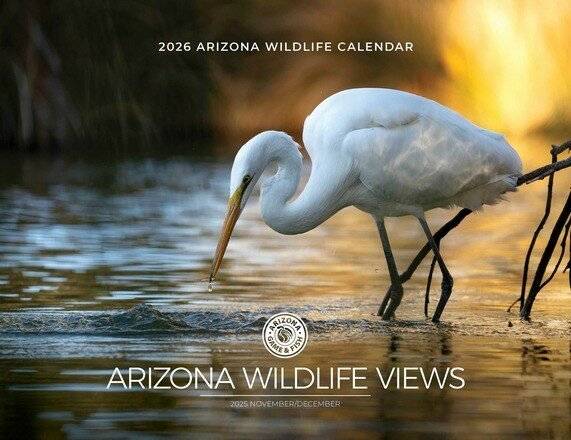 Two Scottsdale residents win Arizona Game and Fish Department’s 2025 wildlife photo contest
