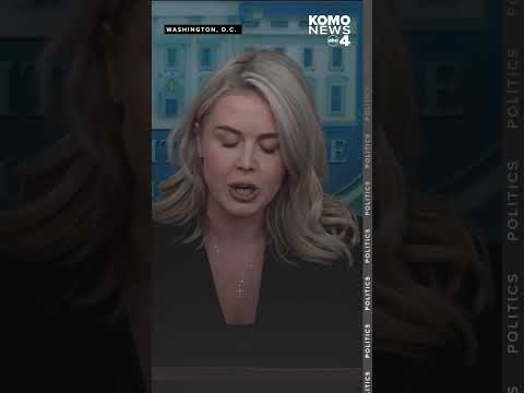 'The American economy remains strong,' says Karoline Leavitt amid September jobs report