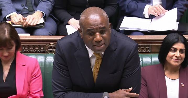 Blundering David Lammy forgets poppy at PMQs and is forced to borrow colleague's