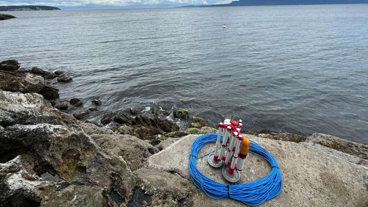 Meet the B.C. residents hosting whale detection devices on their properties