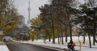 Strong winds in Toronto under special weather statement