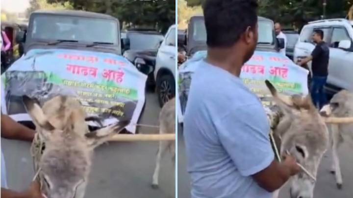 Pune: Humane World For Animals India Demands Action From Collector After Donkeys Forced To Pull SUV  