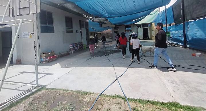 Arequipa: Ratas invaden colegio y pone en riesgo a niños