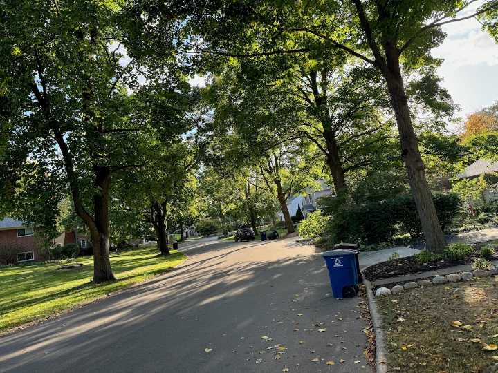 Redesign of Ann Arbor street saves trees while making room for sidewalk